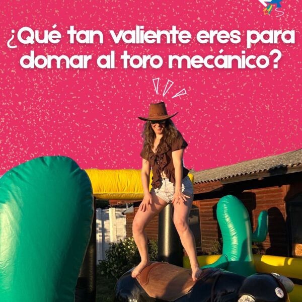 Toro mecanico