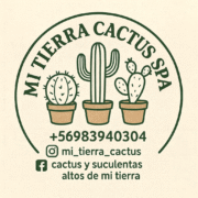 Mi tierra cactus Spa
