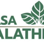 Casa Calathea