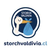 storch valdivia